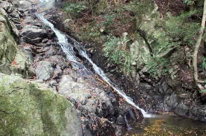 二位の滝・滝横から